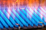 Trevorrick gas fired boilers